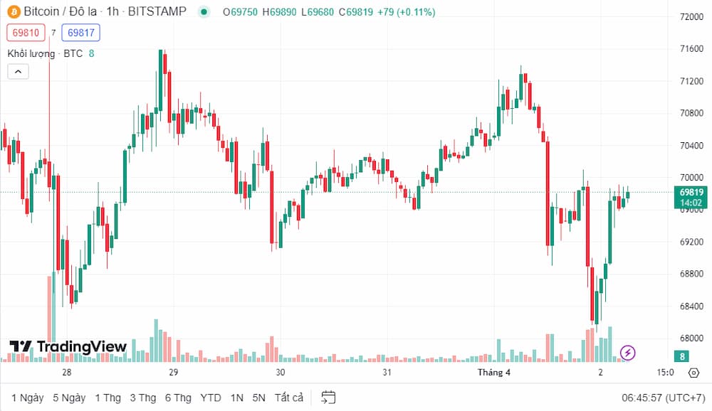 Mining Information on Bitcoin Network Data: Unveiling the Underlying Dynamics